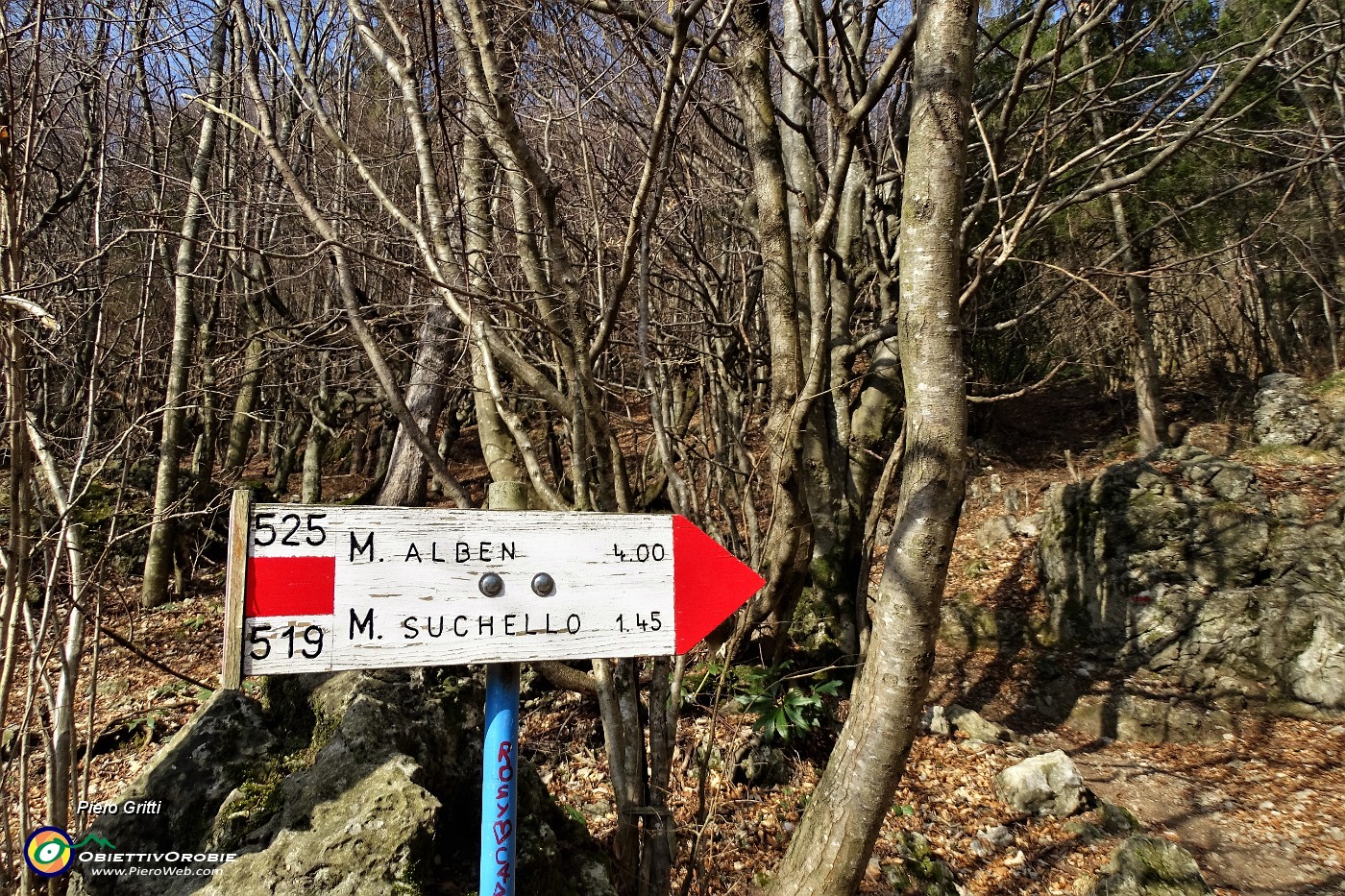 14 Imbocco il sentiero 519 per il Monte Suchello, unificato col 525 per il Monte Alben.JPG